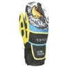 Level JR WC CF Mitt -Race Place Ski Shop 2023 Level JR WC CF Mitt 1